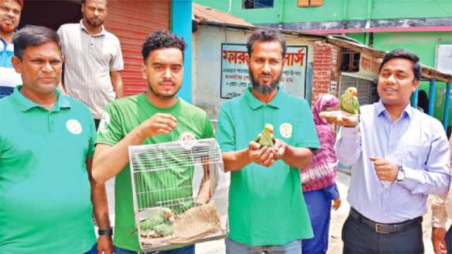 মুক্ত আকাশের স্বাদ পেল খাঁচাবন্দি চার টিয়া