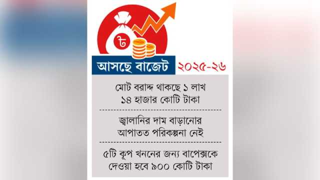 কৃষি ও খাদ্যে ভর্তুকি বাড়ছে বিদ্যুৎ-গ্যাসে কমছে