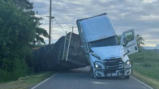 উল্টে যাওয়া ট্রাক থেকে পালাল ২৫ কোটি মৌমাছি, সতর্কতা জারি