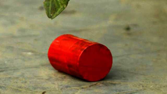 যাত্রাবাড়ীতে বৃক্ষমেলায় ককটেল বিস্ফোরণ, আহত ৫