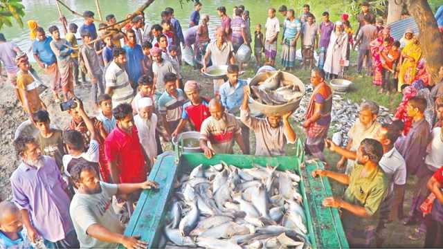 শত্রুতায় শেষ লাখো টাকার মুরগি-মাছ