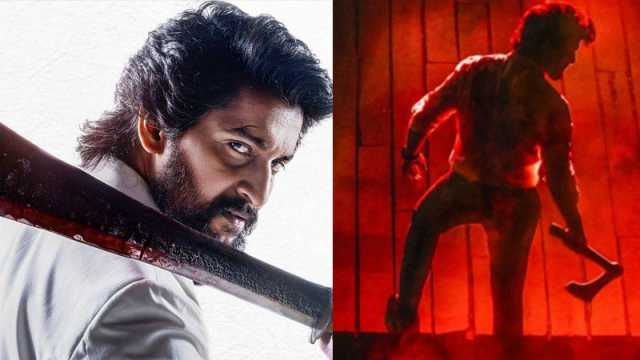 ভায়োলেন্সে অ্যানিমেলকেও টপকে যাওয়া সিনেমাটির আয় কেমন হচ্ছে
