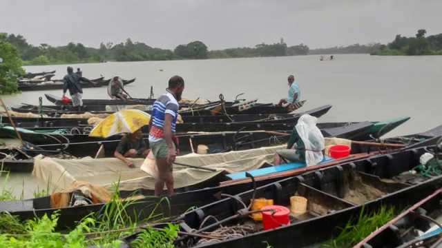 এবার হালদায় মিলেছে ১৪ হাজার কেজির বেশি ডিম