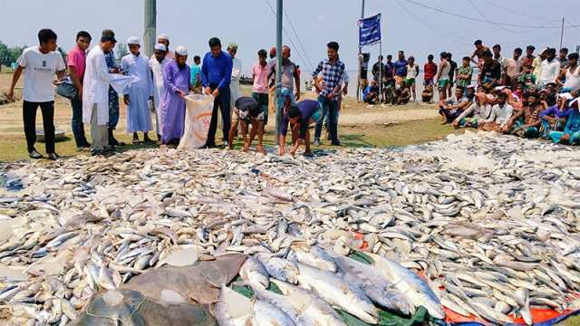 নিষেধাজ্ঞার সময় ধরা ৬১৫ কেজি ইলিশ দেওয়া হলো মাদ্রাসা-এতিমখানায়