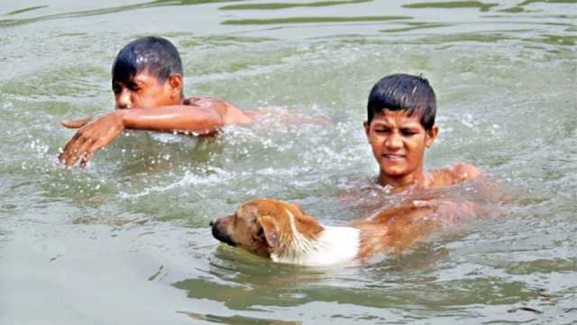 তীব্র তাপপ্রবাহে পুড়ছে দেশের আট জেলা