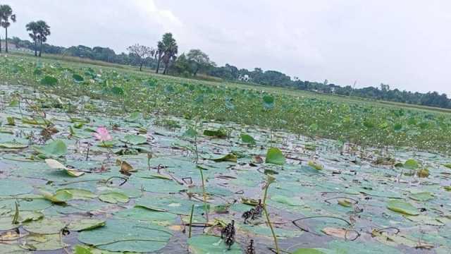 দুটি জলাভূমিকে দেশের প্রথম ‘জলাভূমি নির্ভর প্রাণী অভয়ারণ্য’ ঘোষণা