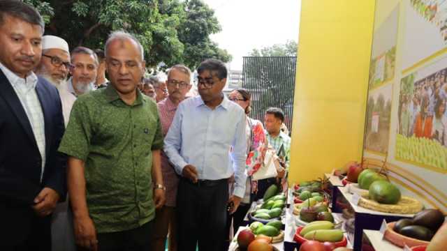 প্রথমবার চীনে গেল আম
