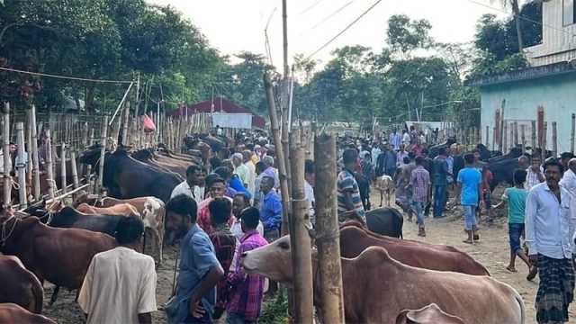 সিন্ডিকেটের কবলে ইজারা বন্দোবস্ত বিপুল রাজস্ব হারানোর শঙ্কা