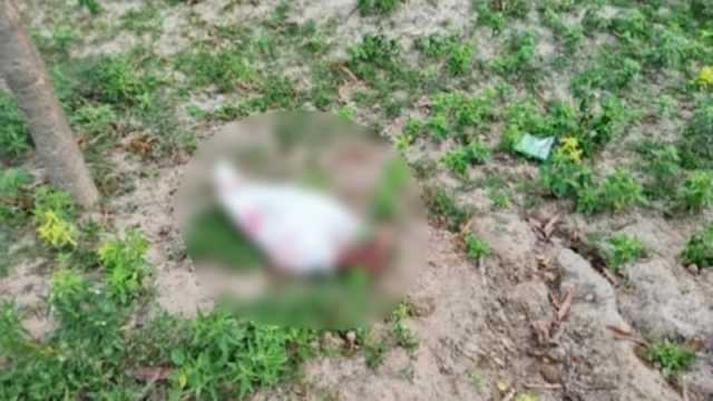মিঠাপুকুরে শপিং ব্যাগে মোড়ানো মানুষের পা উদ্ধার