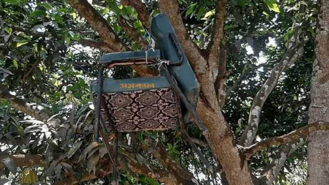 প্রধান শিক্ষককে বের করে দিয়ে কক্ষে তালা, চেয়ার ঝুলছে গাছের মাথায়
