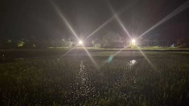 রৌমারী সীমান্তে পুশইনের চেষ্টা, ককটেল বিস্ফোরণ