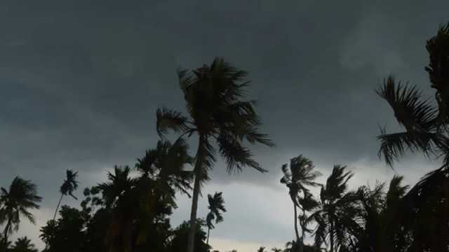 দুপুরের মধ্যে ৭ অঞ্চলে ঝড়ের আভাস 
