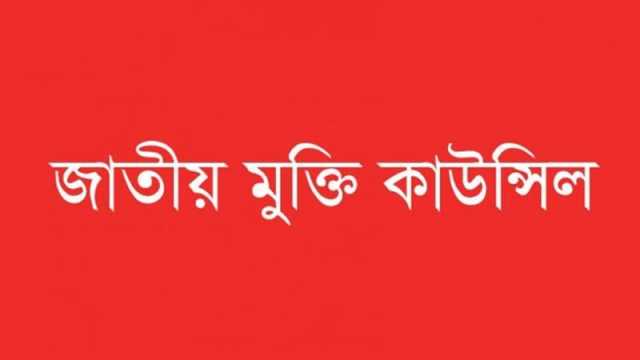 ইসরায়েলের বিরুদ্ধে কার্যকর কূটনৈতিক উদ্যোগ নিন: জাতীয় মুক্তি কাউন্সিল 