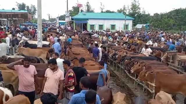 হাতিয়ায় ইজারাকৃত গরুর হাটের পাশে জোর পূর্বক বাসানো হয়েছে বিকল্প হাট
