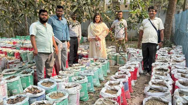 বস্তায় আদা চাষ করে স্বল্প পুঁজিতে লাখ টাকা আয়