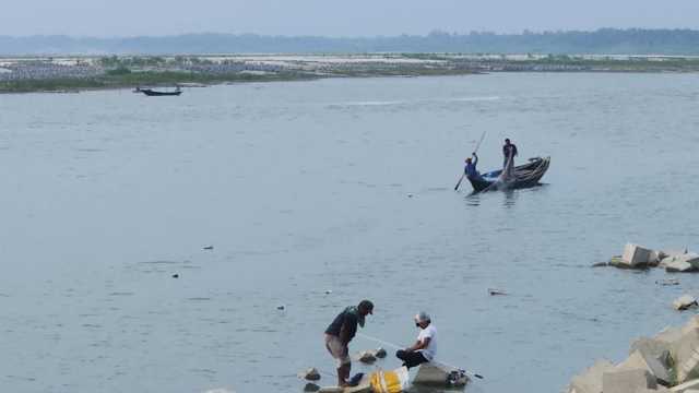 পদ্মায় আবাস সংকটে মাছ