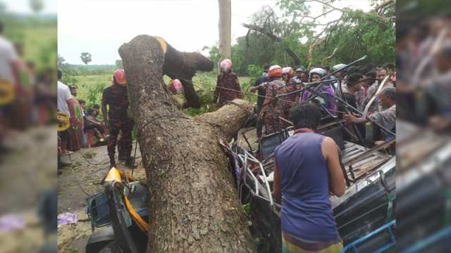 দুমকীতে কালবৈশাখী ঝড়ে বিধ্বস্ত শতাধিক ঘরবাড়ি, আহত ২