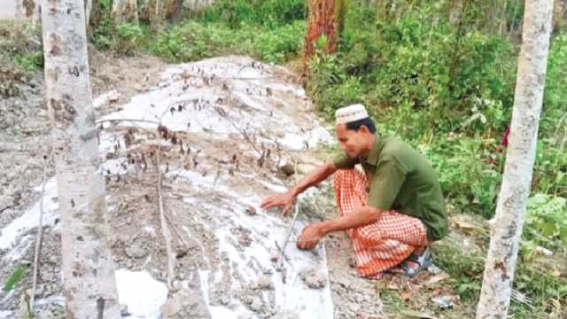 ঈদের ফিরনি গলা দিয়ে আর নামবে না মা-বাবার