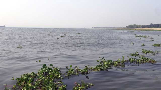 গজারিয়ায় নদীতে পড়ে নিখোঁজ নৌযান শ্রমিকের মরদেহ উদ্ধার