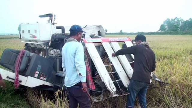 কম্বাইন হারভেস্টার কিনে উল্টো বিপদে কৃষক