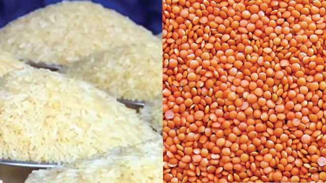 সবচেয়ে বেশি বেড়েছে চাল ডালের আমদানি