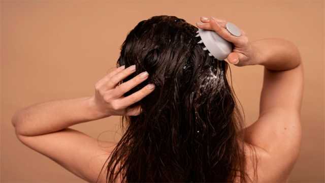 গরমে চুল ঝরা কমাতে উপকারী ঘরোয়া ৩ মাস্ক