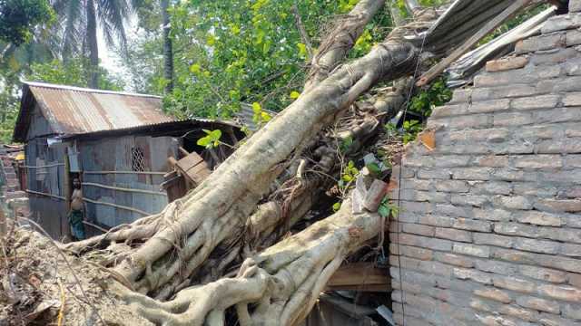কালবৈশাখী ঝড়ে রংপুরে ব্যাপক ক্ষতি