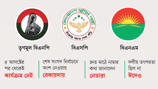 ঈদেও নিষ্ক্রিয় সেই সব ‘কিংস পার্টি’