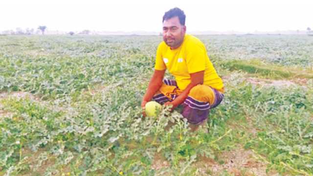 বাড়ি তাদের সুবর্ণচর, তরমুজ চাষ করেন মিরসরাইয়ে