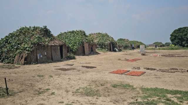 ভিটা ছেড়ে দুর্গম হাওরে খলাবাড়ির বর্গাচাষিরা
