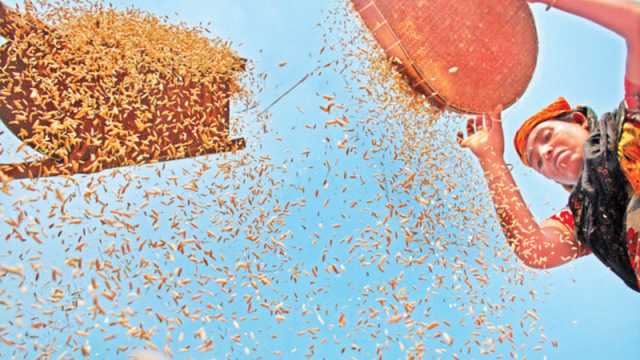 অংশগ্রহণ বেশি স্বীকৃতি কম