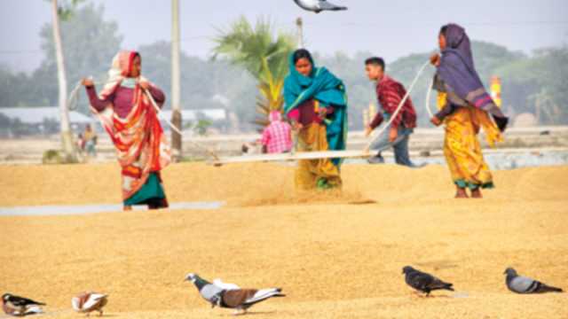 অবিরাম কাজ করেও যারা কোনো নাম-দাম পান না