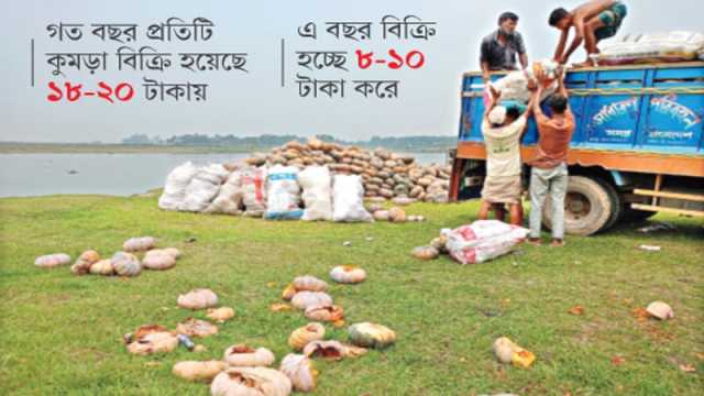এক বছরেই মিষ্টিকুমড়ার দাম অর্ধেক