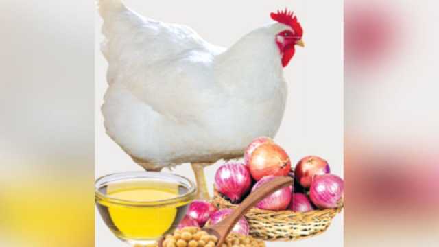 পেঁয়াজের বাজার চড়া মুরগির দামে স্বস্তি