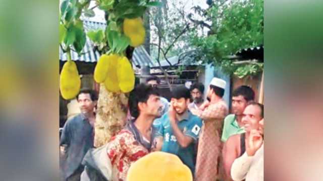 চুরির অভিযোগে যুবককে গাছে বেঁধে রাতভর নির্যাতন