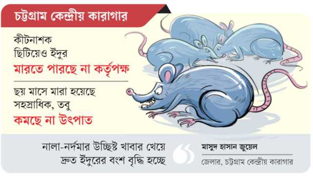 ‘ডাকু ইঁদুরের’ পাল কেড়ে নিয়েছে সব বন্দির ঘুম