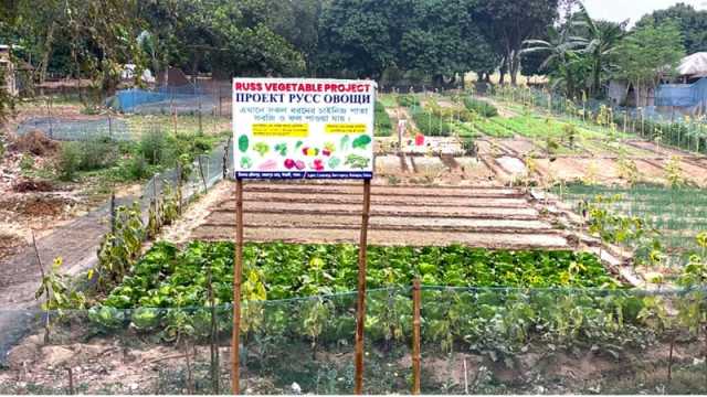 ভিনদেশিদের খাদ্যাভ্যাস ভাগ্য বদলেছে কাদেরের