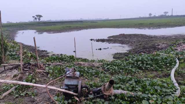 কৃষক উদ্বেগে, লাভ প্রভাবশালীর