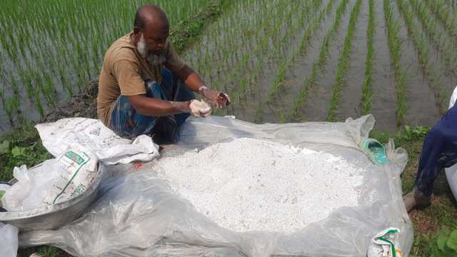 সবজিতে অনিয়ন্ত্রিত কীটনাশক