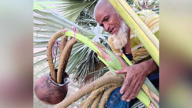 ৫১ বছর ধরে দাদুর তালের রসের স্বাদ নিচ্ছেন মানুষ