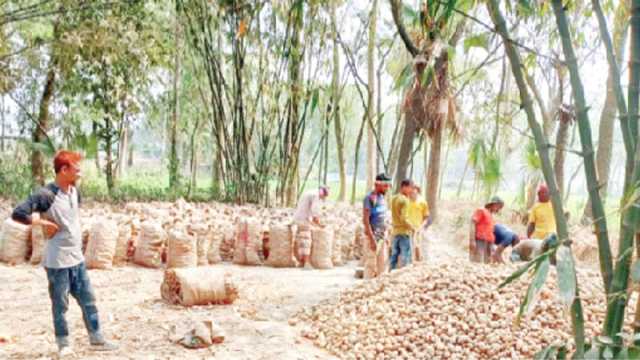 ক্ষেতের পাশে পড়ে আছে বস্তা বস্তা আলু