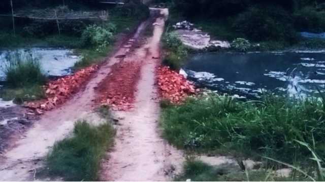 নদীতে বাঁধ দিয়ে কৃষিজমির মাটি কাটছেন যুবলীগ নেতা