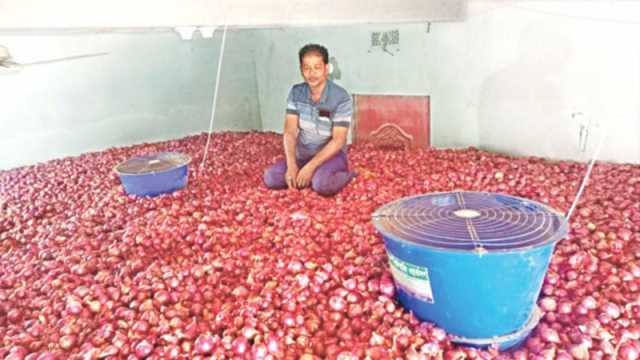 শৈলকুপায় বিশেষ পদ্ধতিতে পেঁয়াজ সংরক্ষণ, খরচ কম