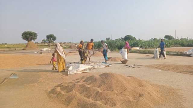 ধানের ন্যায্যমূল্য নিয়ে উদ্বেগ