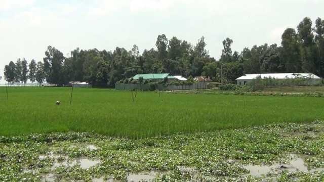 কৃষিজমিতে বাড়ি, পুকুর খনন