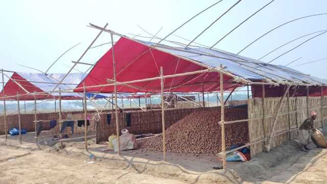 ৬ লাখ টন আলু বাঁশের মাচায়