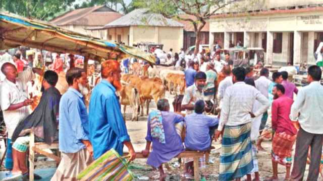 বিএনপি নেতার সম্মতি নিয়ে স্কুলমাঠে হাট