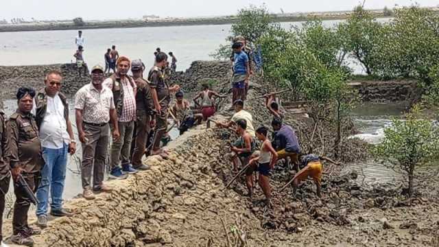 চিংড়িঘেরের বাঁধ কেটে ১০ একর বনভূমি উদ্ধার