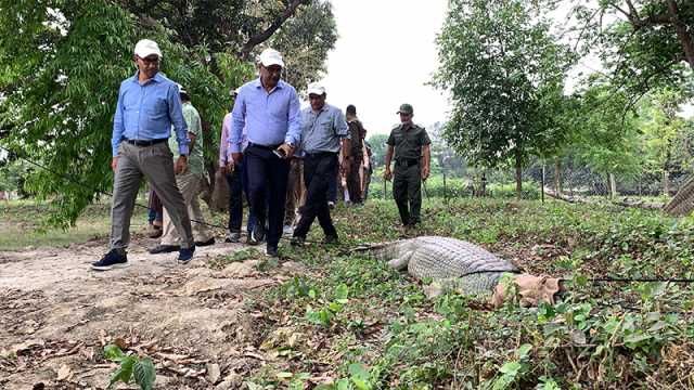 দেশের প্রথম ঘড়িয়াল প্রজনন কেন্দ্র হলো রাজশাহীতে