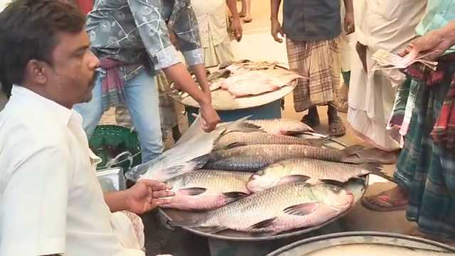 নববর্ষে হাঁকডাকে মুখোর শতবর্ষী মাছের মেলা